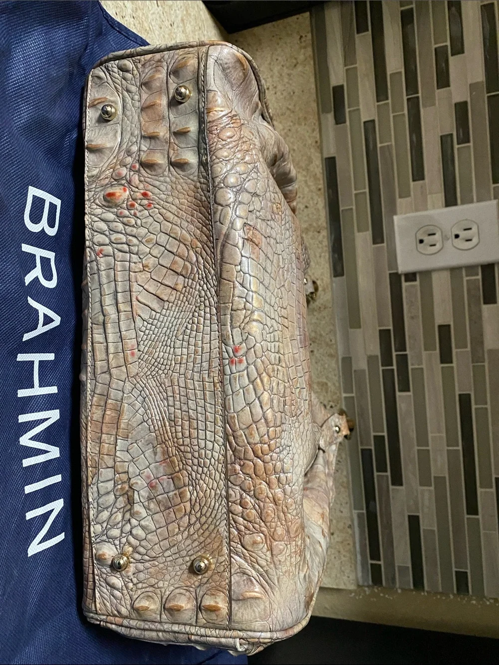 Brahmin Elisa satchel
